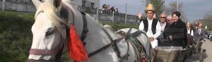 Read more about the article Oarţa de Jos – Nuntă tradiţională pentru americani! (VIDEO)