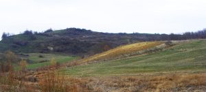 Read more about the article Oarţa de Sus – Sanctuarul de la Viile Botii (VIDEO-Galerie FOTO)