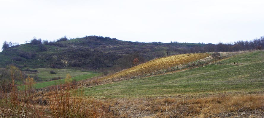 Read more about the article Oarţa de Sus – Sanctuarul de la Viile Botii (VIDEO-Galerie FOTO)