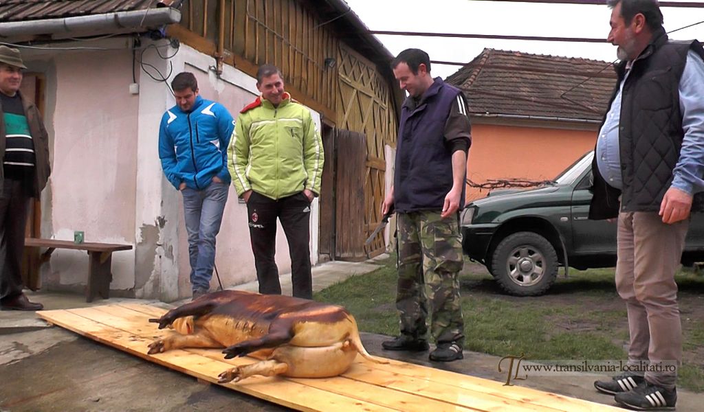 Read more about the article Oarţa de Sus – Tăiatul porcului de Crăciun (VIDEO-galerie FOTO)